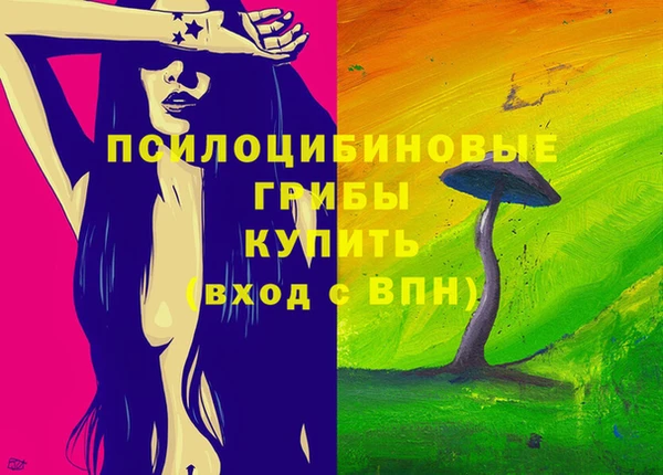 круглые Абаза