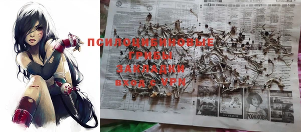 ГАЛЛЮЦИНОГЕННЫЕ ГРИБЫ Абинск