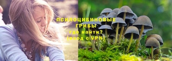 прущая мука Абдулино