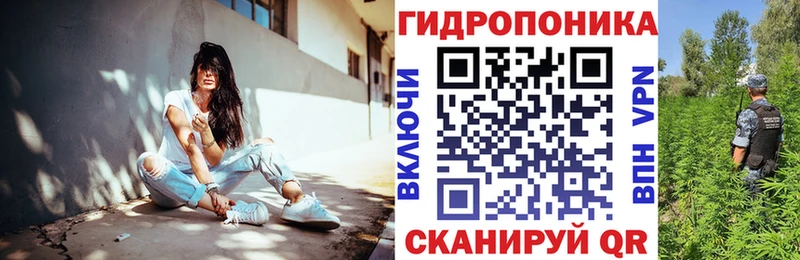 даркнет сайт  Кировград  МАРИХУАНА индика 